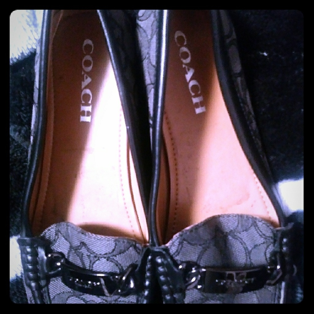 Coach loafers